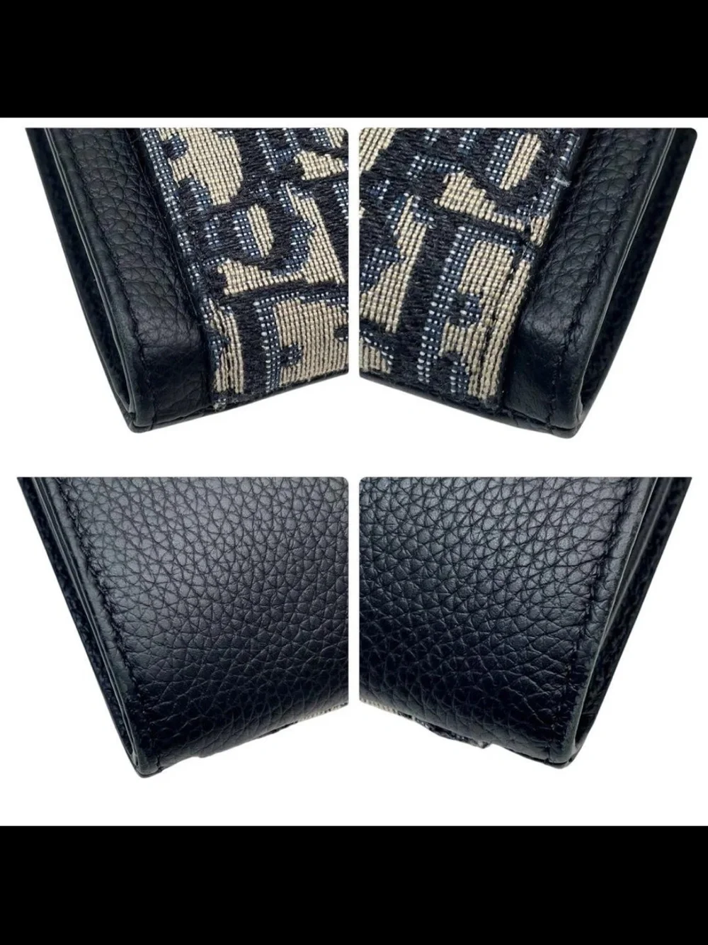 Dior signature oblique